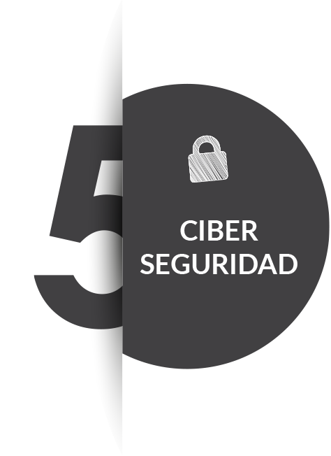 Ciber Seguridad MiBizPartners